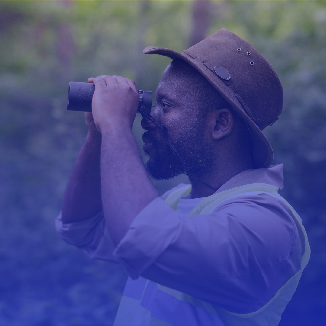 Monitoramento ambiental